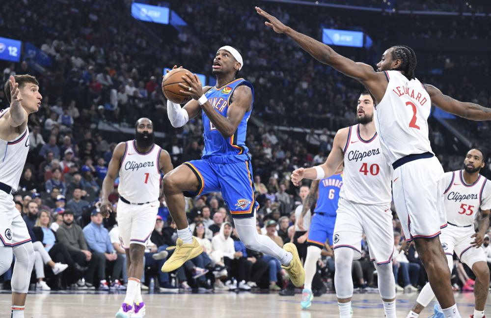 将决定他们 将决定他们