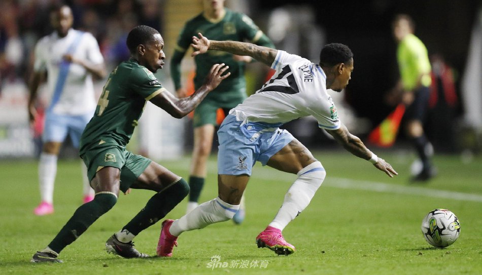 引领行业新 引领行业新